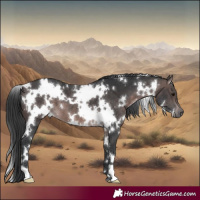 Horse Color:Platinum White Spotted Brown 