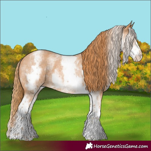 Horse Color:White Spotted Red Roan 