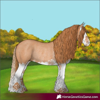 Horse Color:Red Roan Splash Rabicano