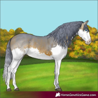 Horse Color:Watercolor Brown Splash