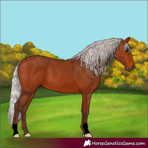 Horse Color:Void Silver Bay 