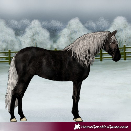 Horse Color:Void White Spotted Silver Blue Roan