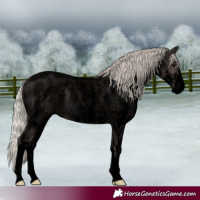 Horse Color:Void White Spotted Silver Blue Roan