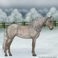 Horse Color:Silver Blue Roan Mushroom 