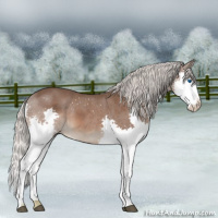 Horse Color:Silver Blue Roan Splash 