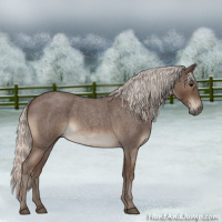 Horse Color:Silver Blue Roan 