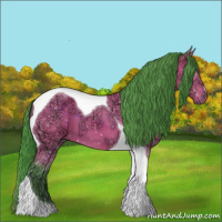 Horse Color:Watercolor Brown Ice Tobiano 