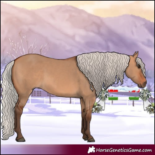 Horse Color:Silver Bay Dun 