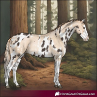 Horse Color:Liver Chestnut Sabino Splash Near Leopard  and Buckskin Pearl Sabino Splash 