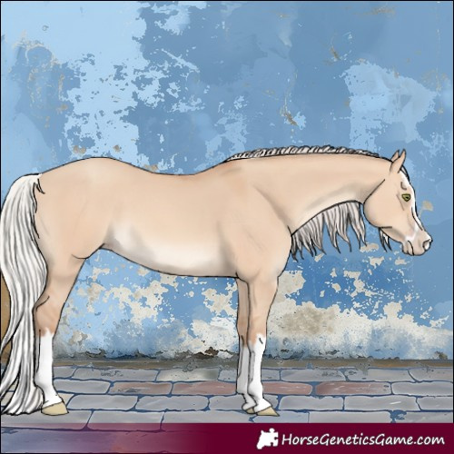 Horse Color:Silver Sable Champagne Dun Splash 