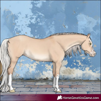 Horse Color:Silver Sable Champagne Dun Splash