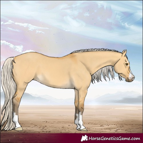 Horse Color:Silver Buckskin Dun 
