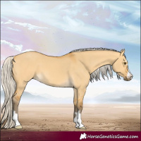 Horse Color:Silver Buckskin Dun 