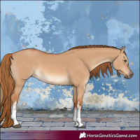 Horse Color:White Spotted Red Dun 