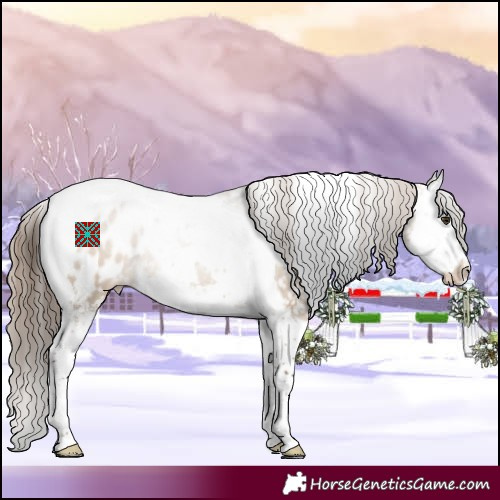 Horse Color:Liver Red Dun Sabino Splash Tobiano Appaloosa 