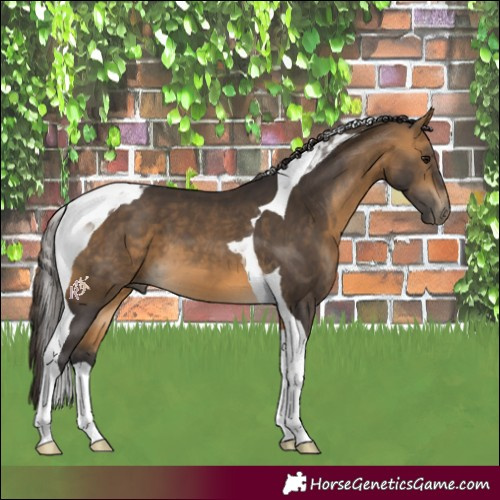 Horse Color:Buckskin Tobiano 
