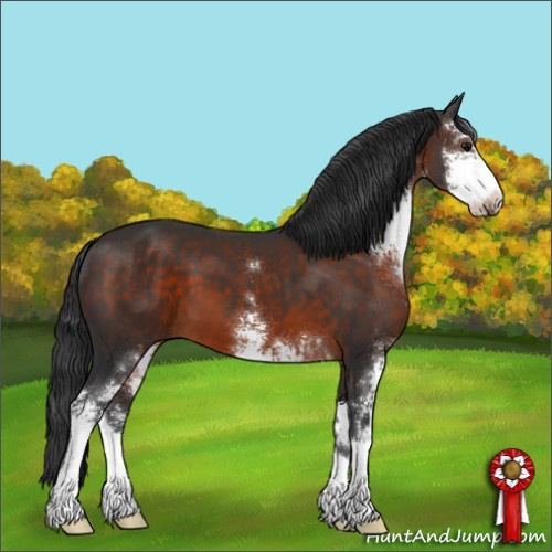 Horse Color:Brown Sabino 