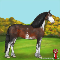 Horse Color:Brown Sabino