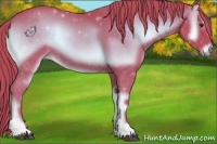 Horse Color:Watercolor Red Onyx 