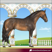 Horse Color:Buckskin Tobiano