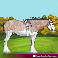 Horse Color:Bay Roan Splash 