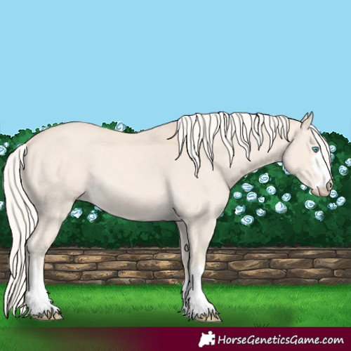 Horse Color:Cremello 