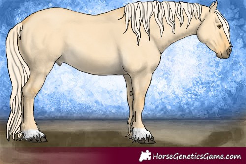 Horse Color:Palomino Dun 