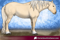 Horse Color:Palomino Dun