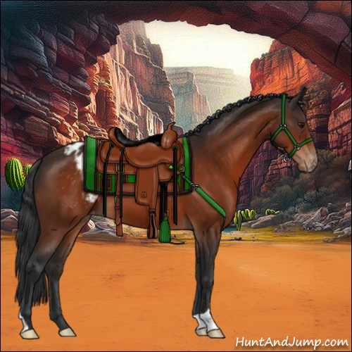 Horse Color:Brown Appaloosa 