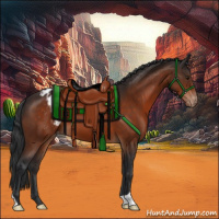 Horse Color:Brown Appaloosa