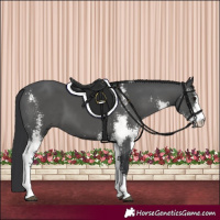 Horse Color:Black Sabino