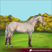 Horse Color:Silver Brown Roan Dun Frame 