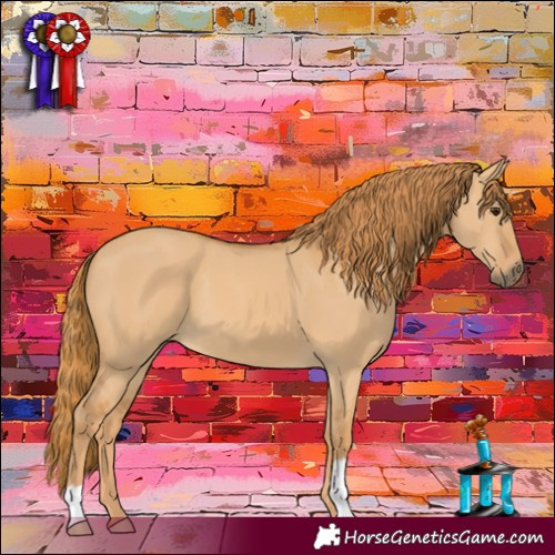 Horse Color:Red Dun 
