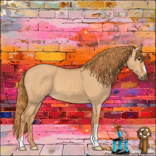 Horse Color:Red Dun 