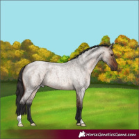Horse Color:Brown Roan Dun 