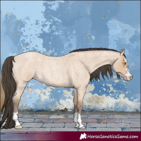 Horse Color:Amber Champagne Roan 