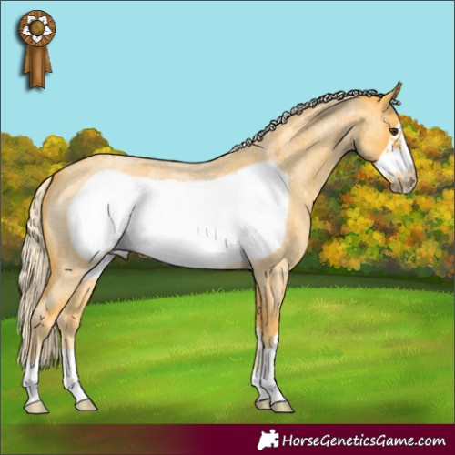 Horse Color:Palomino Roan Frame 