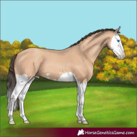 Horse Color:Amber Champagne Splash 