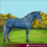 Horse Color:ERROR: UNKNOWN ANOMALY