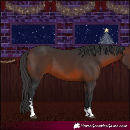 Horse Color:Brown 