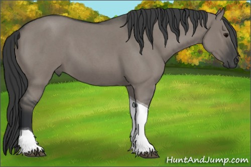Horse Color:Grullo Roan Tobiano 