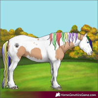 Horse Color:Painted Bay Dun Splash Tobiano