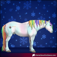 Horse Color:Painted Buckskin Splash Tobiano 