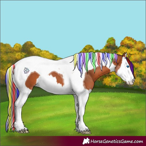 Horse Color:Painted Bay Splash Tobiano