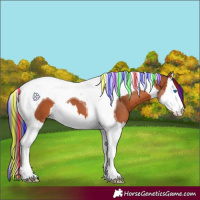 Horse Color:Painted Bay Splash Tobiano