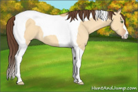 Horse Color:Sable Cream Champagne Dun Tobiano