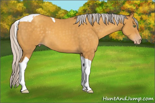 Horse Color:Silver Sable Cream Champagne Tobiano 