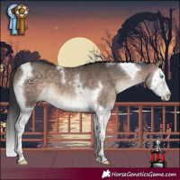 Horse Color:Brown Dun Mushroom Splash Tobiano 