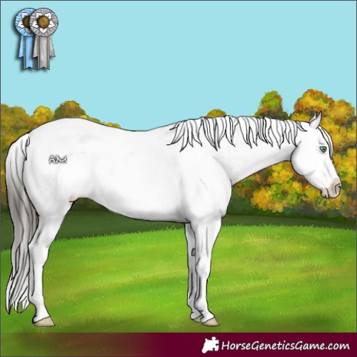 Horse Color:Buckskin Dun Mushroom Splash Tobiano Snowflake Varnish 