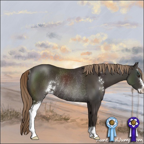 Horse Color:Liver Chestnut Sabino Rabicano